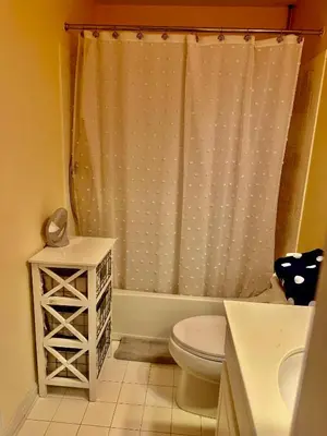 a bathroom with a toilet and a shower curtain at House in Bucks County in Perkasie