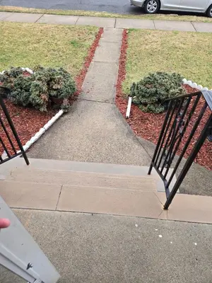 a bench sitting on a sidewalk next to some plants at House in New Jersey in Paterson