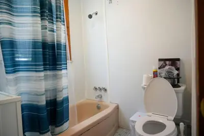 a bathroom with a toilet and a shower curtain at Divine Villa Guest House Harper Ave WITH FREE PRIVATE PARKING in Irvington