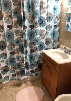 a bathroom with a sink and a shower curtain at Private 2-bedroom house, free parking, 15-min walk to direct NYC Manhattan train, MetLife Stadium FIFA World Cup 30 minutes away in Edgar