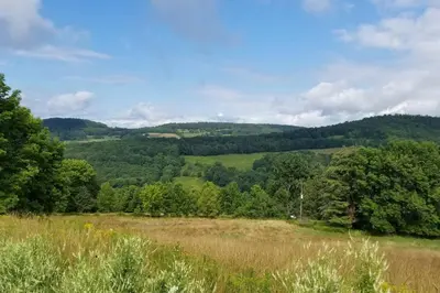 a field with trees and hills in the background at Hillcrest Cottage - Charming Cottage with hot tub and view! in Obernburg