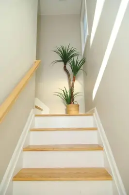 a staircase with a potted plant on top of it at Grace Filled Apartment in Newark in Newark