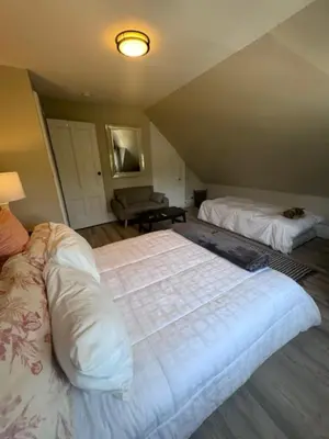 a bedroom with two beds and a couch in a room at Bloom Victorian Bed & Breakfast in South Orange