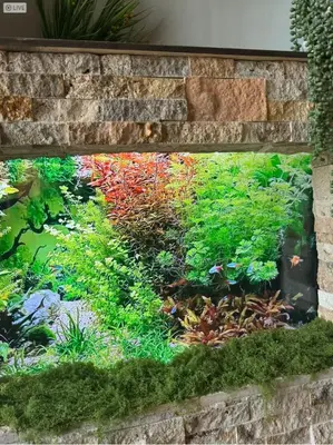 a fishtank with a garden in a brick wall at Charming, Restful Getaway in Bushkill