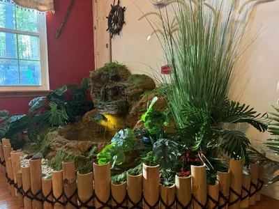 a large aquarium with plants in a room at Charming, Restful Getaway in Bushkill