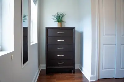 a dresser with a potted plant on top of it at Stylish 3BR w Pool Table & Garage in Philadelphia