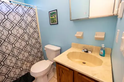 a bathroom with a toilet and a sink and a shower at Home Tucked into Towamensing Trails in Albrightsville