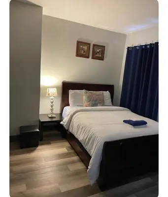 a bedroom with a large bed with blue curtains at Cozy Room in Newark