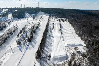 an aerial view of a snow covered road with trees at The Best of Blakeslee in Blakeslee