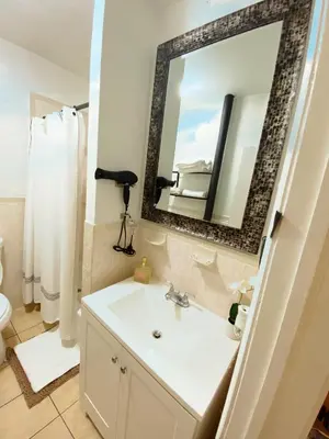 a bathroom with a sink and a mirror at Apart Studio West NY 12Mints From NYCity Times Square in West New York