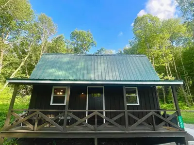 a small black cabin with a green roof at Private Cottage with Hot Tub in the Woods in Thompson