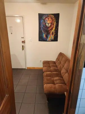 a room with a couch and a painting of a lion at Conveniently located in the heart of the city in New York