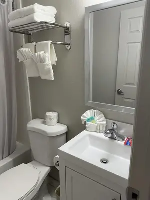 a bathroom with a toilet and a sink and a mirror at Ritz Motel in Elizabeth