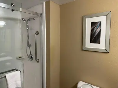 a bathroom with a shower and a picture on the wall at Wingate by Wyndham Harrisburg Near Hershey in Harrisburg