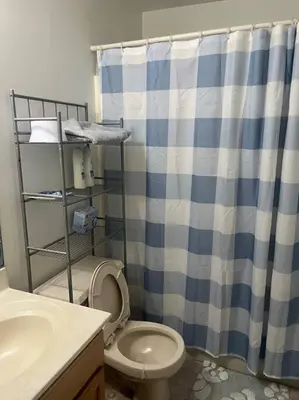a bathroom with a toilet and a shower curtain at Cozy Beautiful Pondside Luxurious Retreat in Monroe
