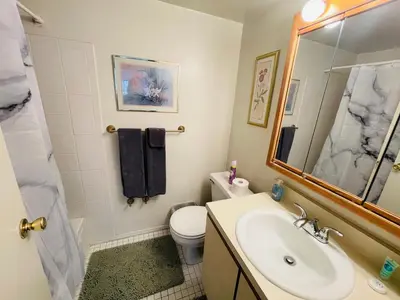 a bathroom with a sink and a toilet and a mirror at Comfort 2br2ba Monthly Discount in Elkins Park