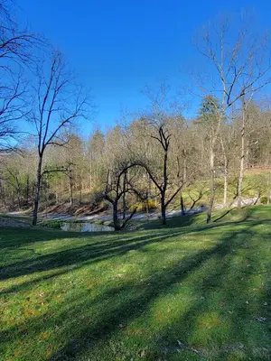 a grassy field with trees and a river at Secluded Mountain Lodge Near Williamsport with a Fireplace, Deck, and Pet-Friendly in Linden