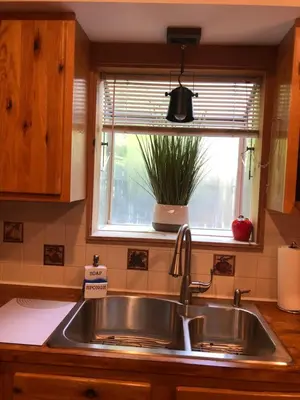 a kitchen sink with a potted plant in a window at Bethel Escape Hot Tub 4 beds Game Room and Fire pit Fully Stocked Kitchen in Smallwood