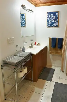 a bathroom with a sink and a mirror at Cozy Sanctuary in Jersey City