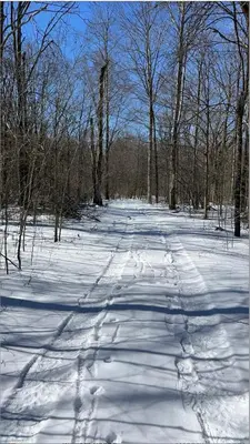 a snow covered road with trees in the background at Winter Hideaway - Sled Hill, Hot Tub, Fireplace, Game Room in Gouldsboro