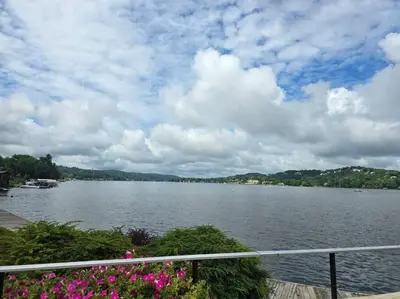 a view of a large body of water with pink flowers at Sparta lakehouse in Sparta