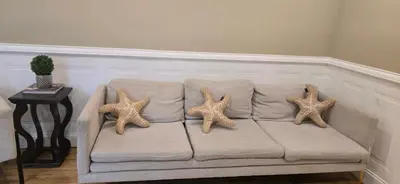 three starfish sitting on the back of a couch at Sparta lakehouse in Sparta