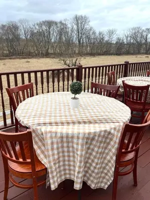a table with a potted plant on a deck at THE VILLA Farm Sleeps 20 more in Montgomery