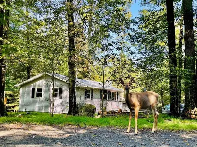 a deer is standing in front of a house at Pocono Lake House Beach, AC in Locust Lakes Village