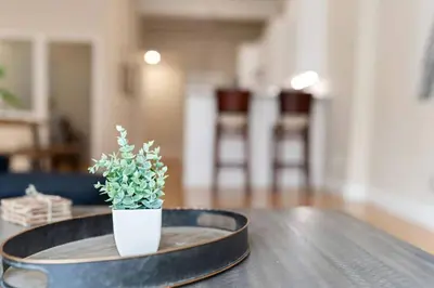 a potted plant sitting on top of a table at Hip Dtwn Apt With Arcade And Gym in Binghamton