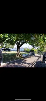 a group of park benches under a large tree at Apart Studio West NY 12Mints From NYCIty Times Square in West New York