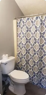 a bathroom with a toilet and a shower curtain at Vdara Pocono Home in Tobyhanna