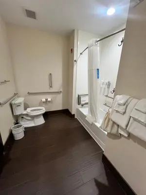 a bathroom with a toilet and a shower at Hampton Inn & Suites Stroudsburg Bartonsville Poconos in Stroudsburg