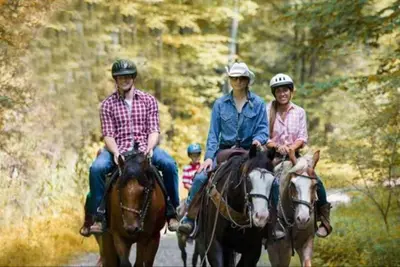 a group of people riding horses down a road at Luxe 10 guest Cottage Ski-Golf-Firepit-Lakes-Hike in Vernon Township