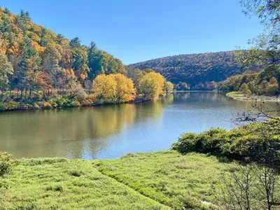 a view of a river in the middle of a forest at Upper Delaware River House in Equinunk