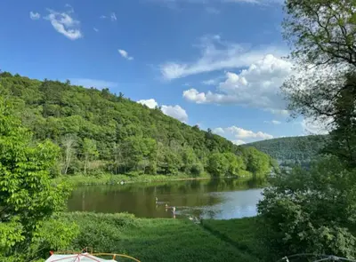 a view of a river with trees and a mountain at Upper Delaware River House in Equinunk