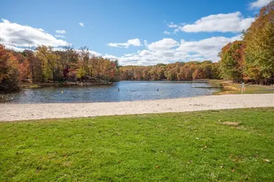 a body of water with ducks in the water at Spacious 3BR Home with BBQ in Gated Penn Estates in East Stroudsburg