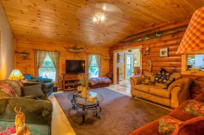 a log cabin living room with couches and a tv at The Old Tioga Inn Bed and Breakfast in Fairmount Springs