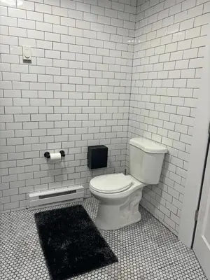 a bathroom with a white toilet and a black rug at the old soda factory in Mount Carmel
