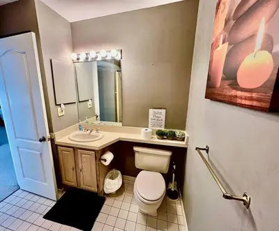 a bathroom with a toilet and a sink at Lake Harmony 4bdrm Ski pool hot tub lake in Lake Harmony