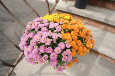 a bouquet of colorful flowers on a table at Newark Liberty Brick House - Private Bedroom 3 in Newark