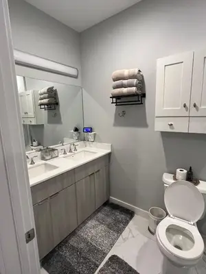 a bathroom with a toilet and a sink and a mirror at Charles Peak Condo - JC Heights in Jersey City