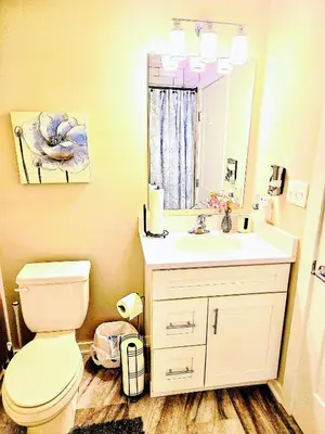 a bathroom with a toilet and a sink and a mirror at Hidden Gem in Norristown