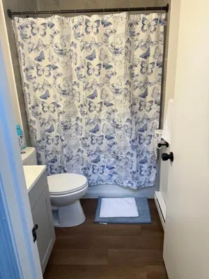 a bathroom with a toilet and a shower curtain at POCONOS everything close to Luxury vacational home in the heart of poconos with 3 outdoor pools for the public of the Tobyhanna community in Tobyhanna