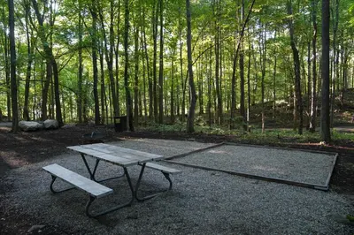 a picnic table and a bench in a forest at Campsite 1 at Moon Valley Campground in Vernon Township