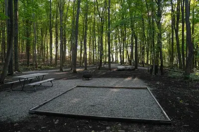 a picnic table and a bench in a forest at Campsite 1 at Moon Valley Campground in Vernon Township