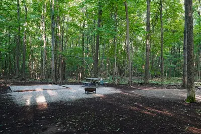 a picnic table in the middle of a forest at Campsite 1 at Moon Valley Campground in Vernon Township