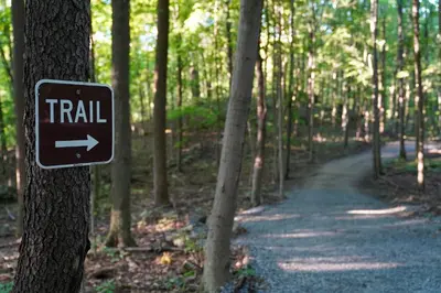 a trail sign on a tree in a forest at The Lookout at Moon Valley Campground in Vernon Township