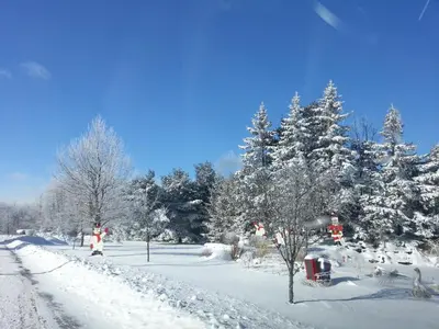 a snow covered street with trees and a person walking in the snow at COZY COTTAGE Spacious 4Bdrm 2Bth, Hot Tub, Game Movie Room, Close to camelback skiing, Sauna Firepit, Arcades, Backyard Playground, 2 Min Walk To Pool, Lake, Beach, Basketball in Tobyhanna