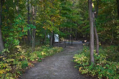 a path in a forest with trees and leaves at Heavens Landing at Moon Valley Campground in Vernon Township