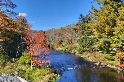 a river in the middle of a bunch of trees at Serenity On The Lehigh River in Thornhurst